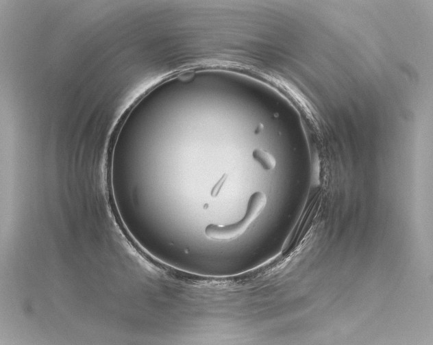 X0000116310902200911301500