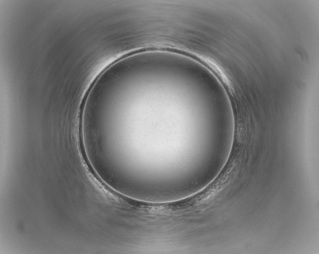 X0000116310903200911301500