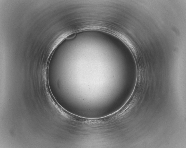 X0000116310906200911301500