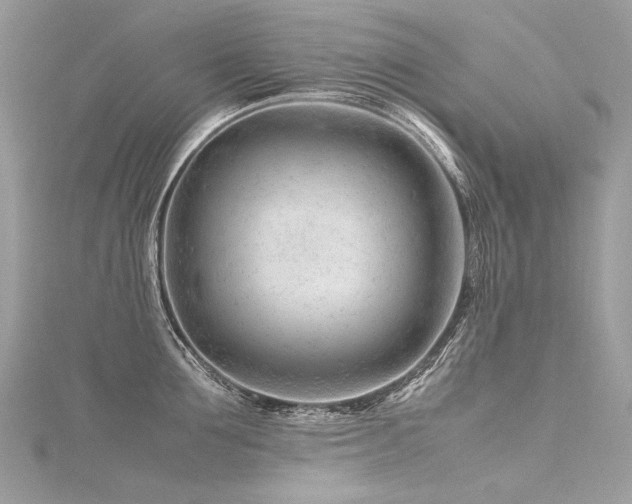 X0000116310907200911301500