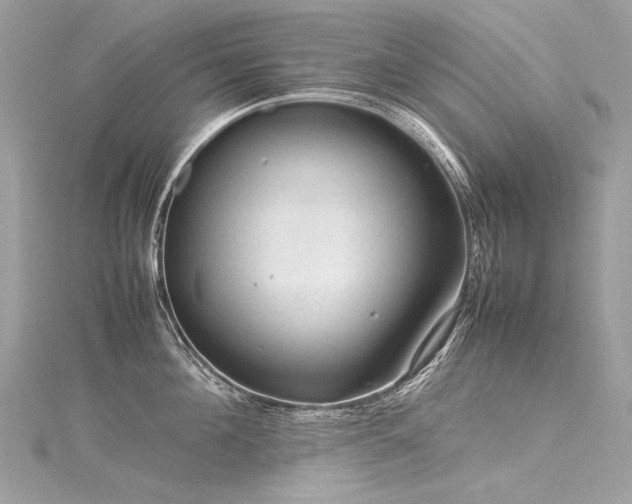 X0000116310908200911301500