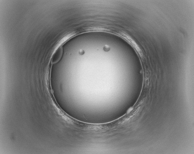 X0000116310909200911301500