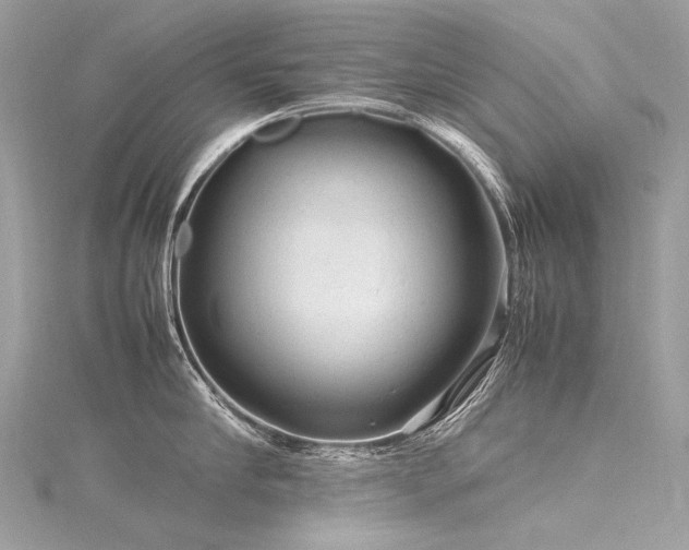 X0000116310910200911301500