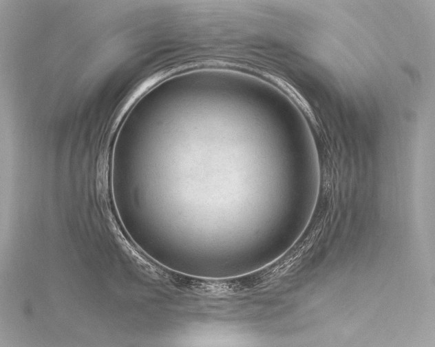 X0000116310911200911301500