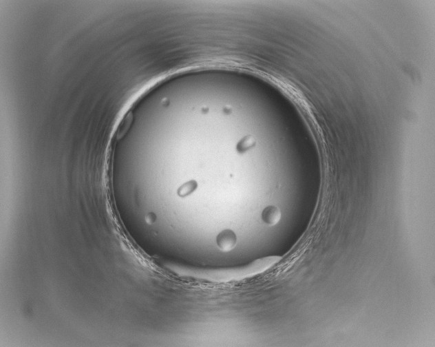 X0000116310912200911301500