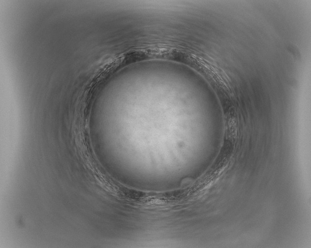 X0000116310913200911301459