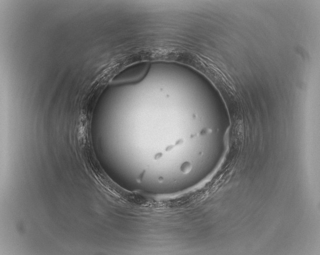 X0000116310914200911301459