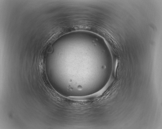 X0000116310915200911301459