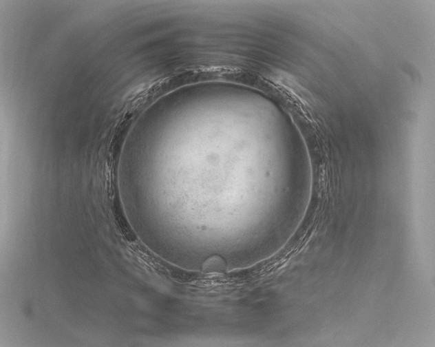 X0000116310917200911301459