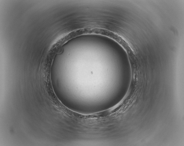 X0000116310919200911301459