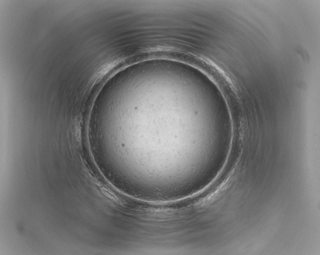 X0000116310921200911301459