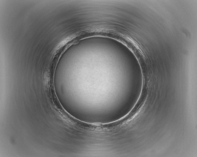 X0000116310922200911301459