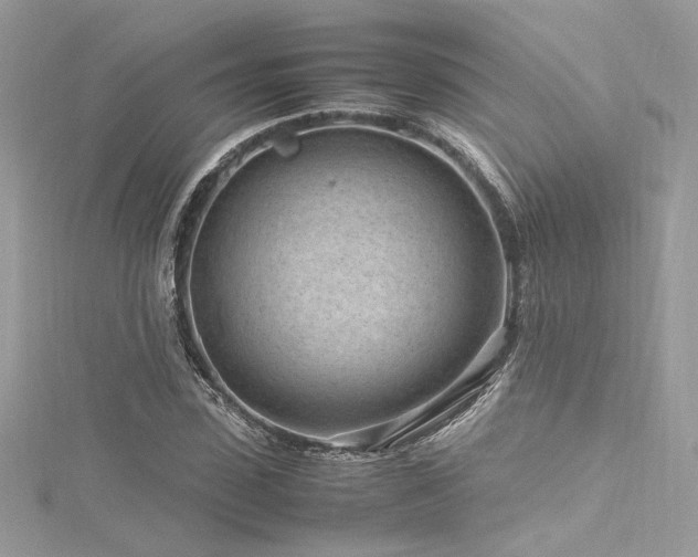 X0000116310923200911301459