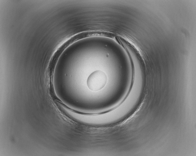 X0000116310925200911301459