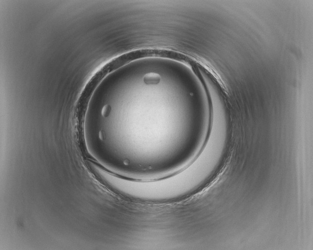 X0000116310926200911301459