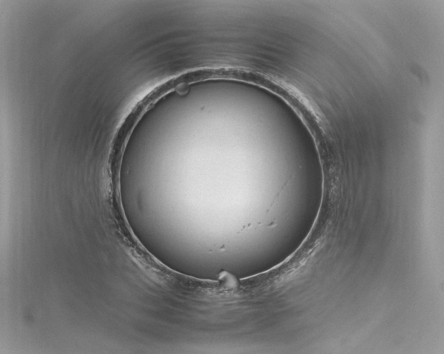 X0000116310927200911301459