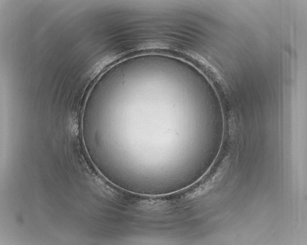 X0000116310929200911301459