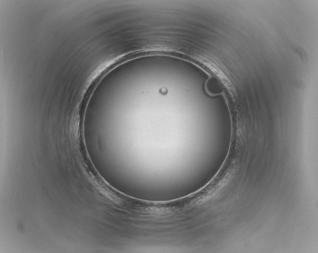 X0000116310933200911301459