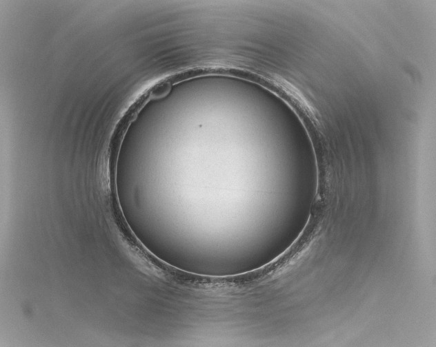 X0000116310934200911301459