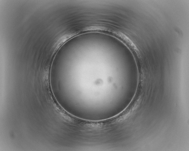 X0000116310937200911301500