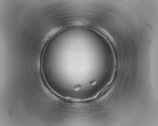 X0000116310938200911301500