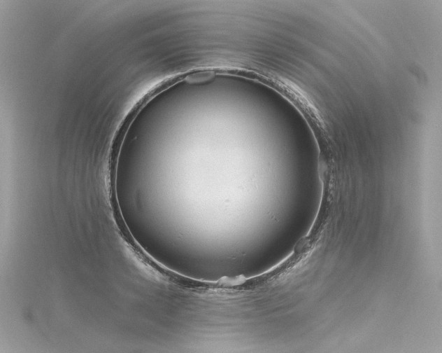 X0000116310942200911301500