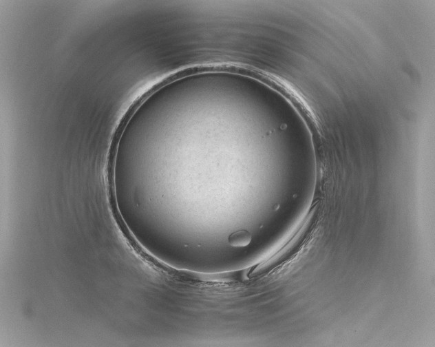 X0000116310943200911301500