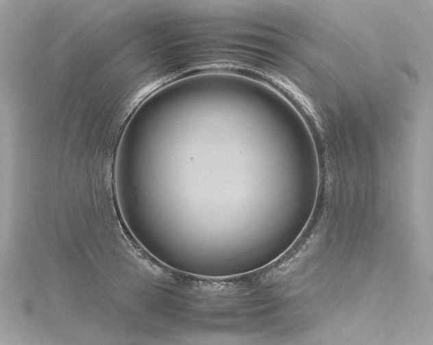 X0000116310945200911301500