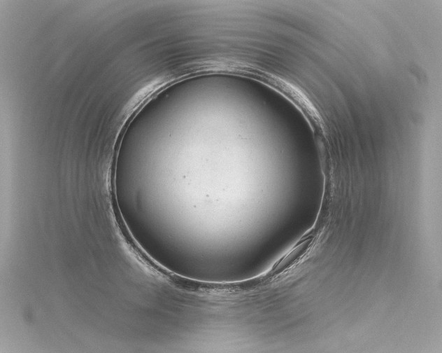 X0000116310946200911301500