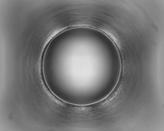 X0000116310949200911301500