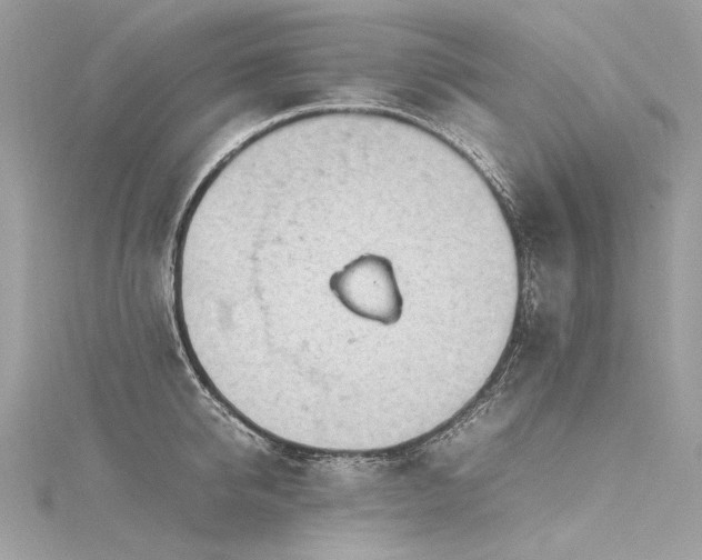 X0000116310950200911301500