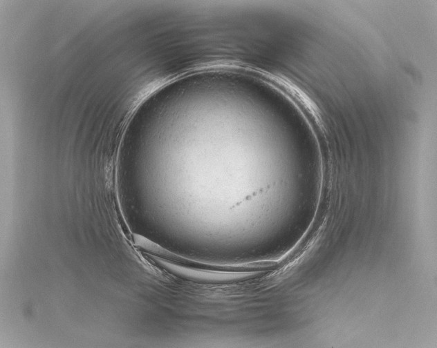 X0000116310953200911301500