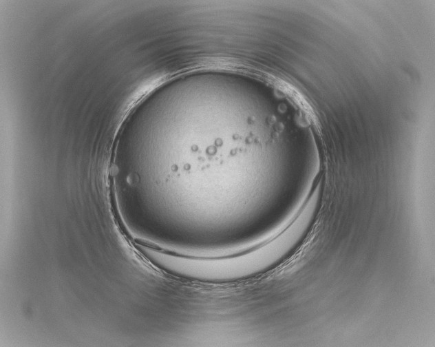 X0000116310954200911301500