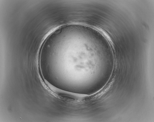 X0000116310957200911301500