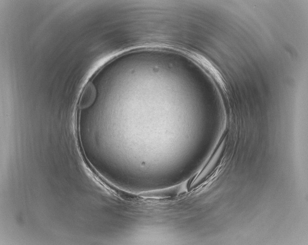 X0000116310958200911301500