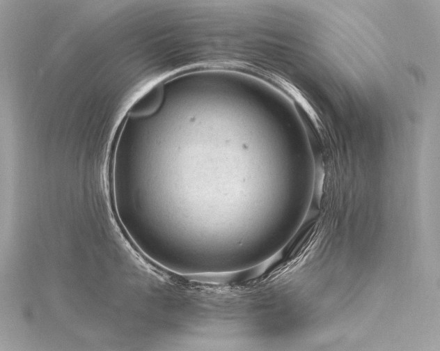 X0000116310959200911301500