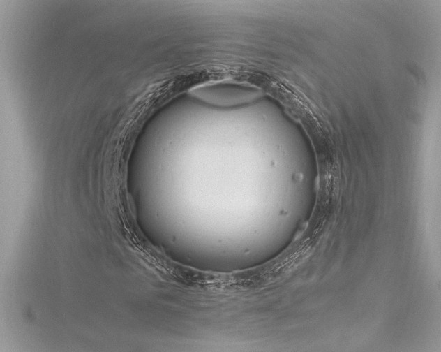 X0000116310961200911301459