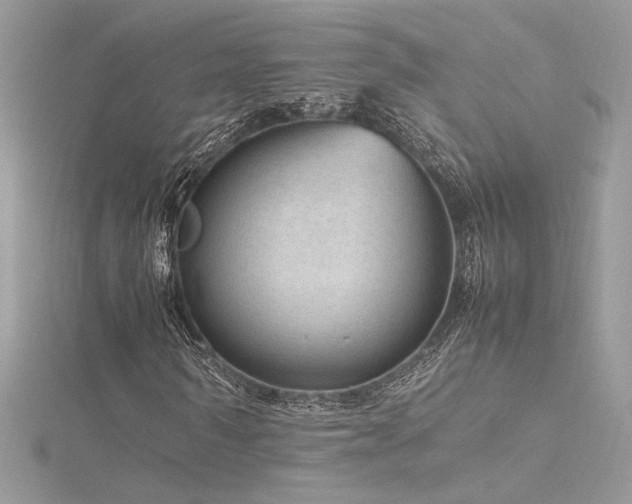 X0000116310962200911301459