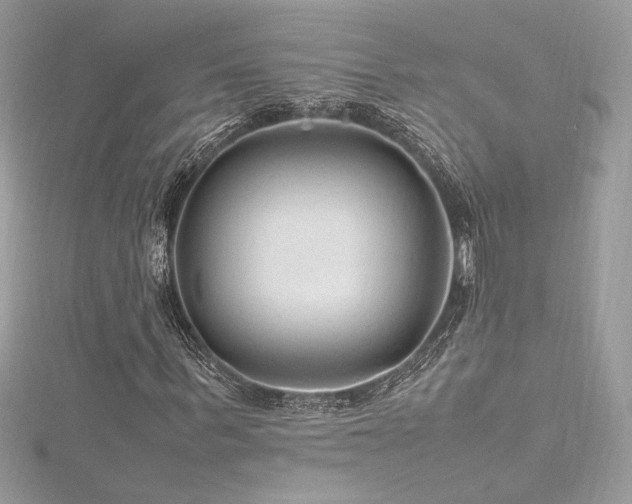 X0000116310963200911301459