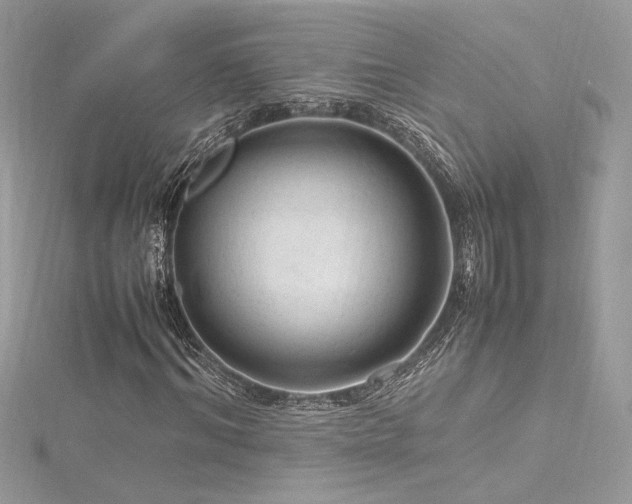 X0000116310964200911301459