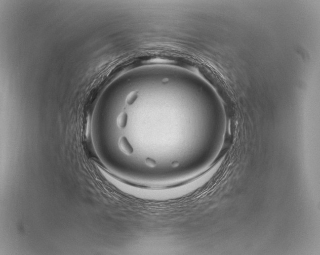 X0000116310965200911301459