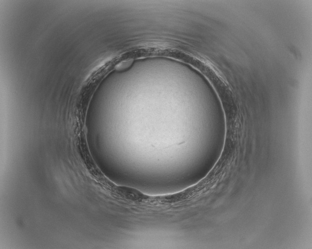 X0000116310967200911301459