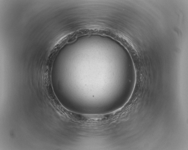 X0000116310968200911301459