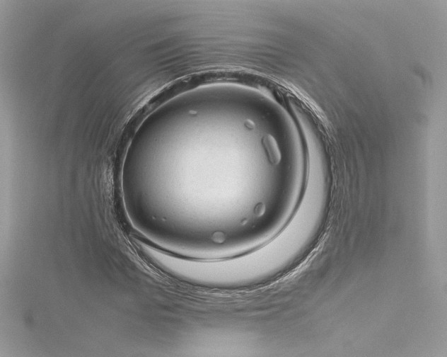 X0000116310969200911301459