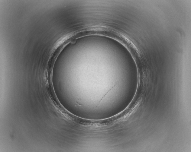 X0000116310970200911301459