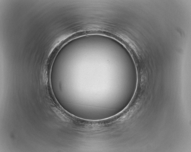 X0000116310973200911301459