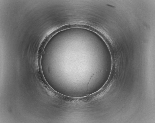 X0000116310974200911301459