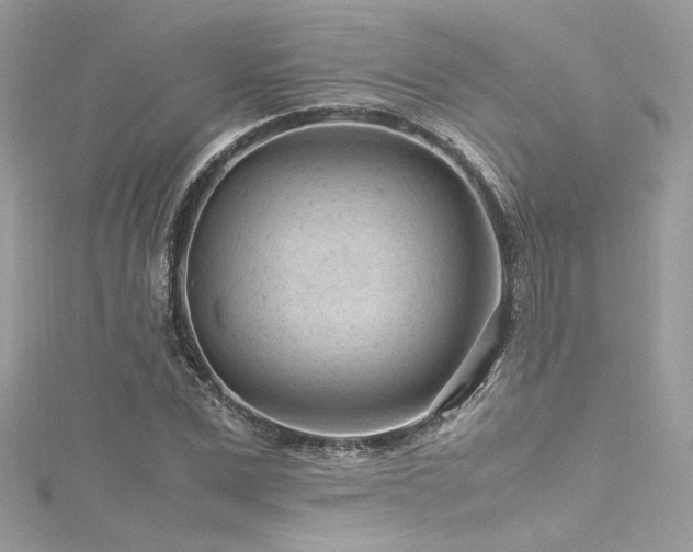 X0000116310975200911301459