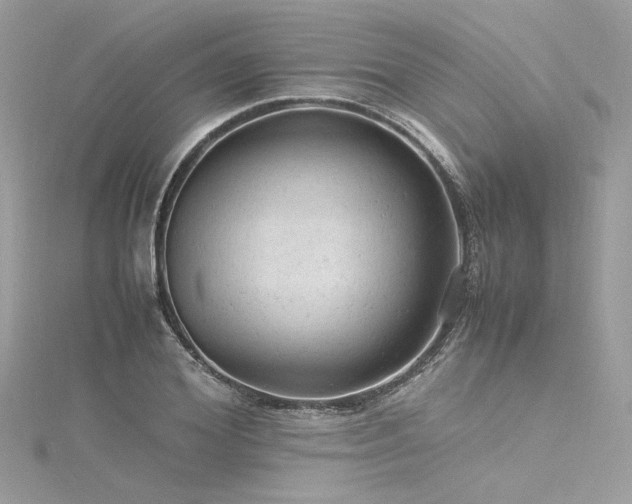 X0000116310980200911301459