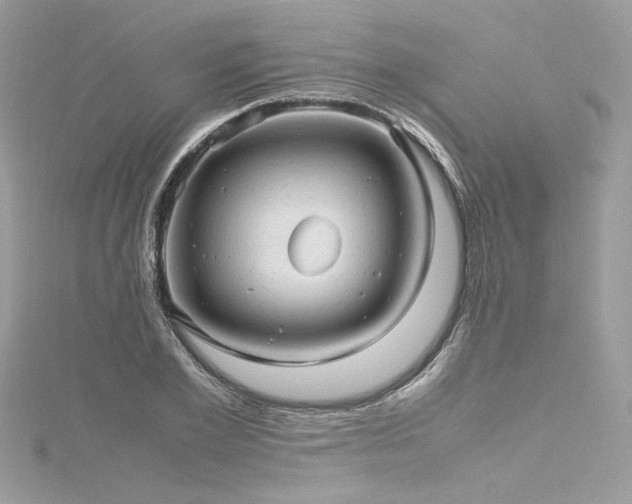 X0000116310981200911301459